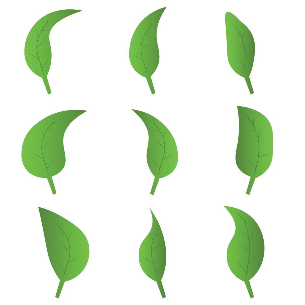 Öko-grüne Farbe Blatt Vektor-Logo-Flachbild-Icon-Set. isolierte Blattformen auf weißem Hintergrund. Bio-Pflanzen- und Baumblumenwald-Konzeptdesign. vektor