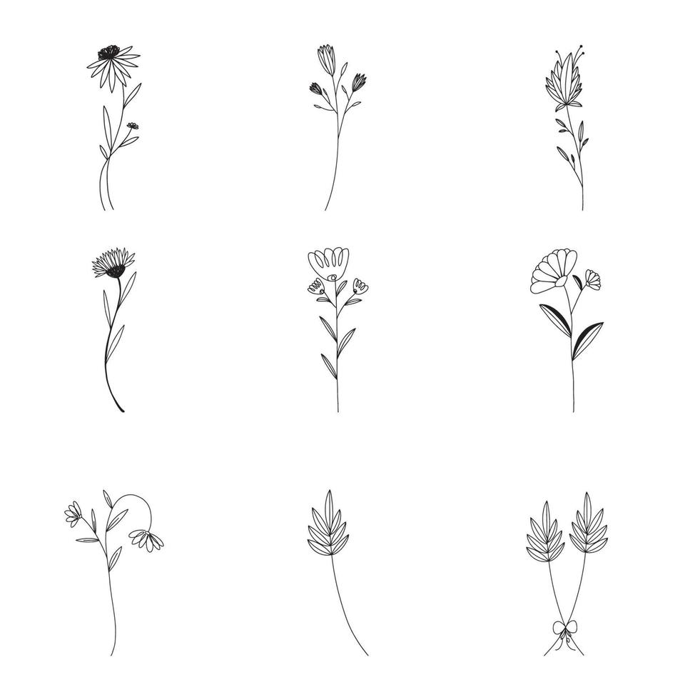 hand gezeichneter satz botanischer blattgekritzel-wildblumenlinienkunst vektor