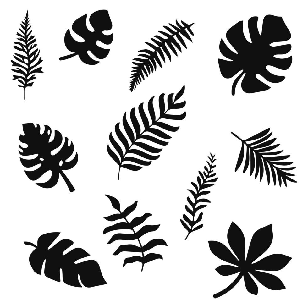uppsättning tropiska blad silhuetter, botaniska isolerade element. vektor illustration.