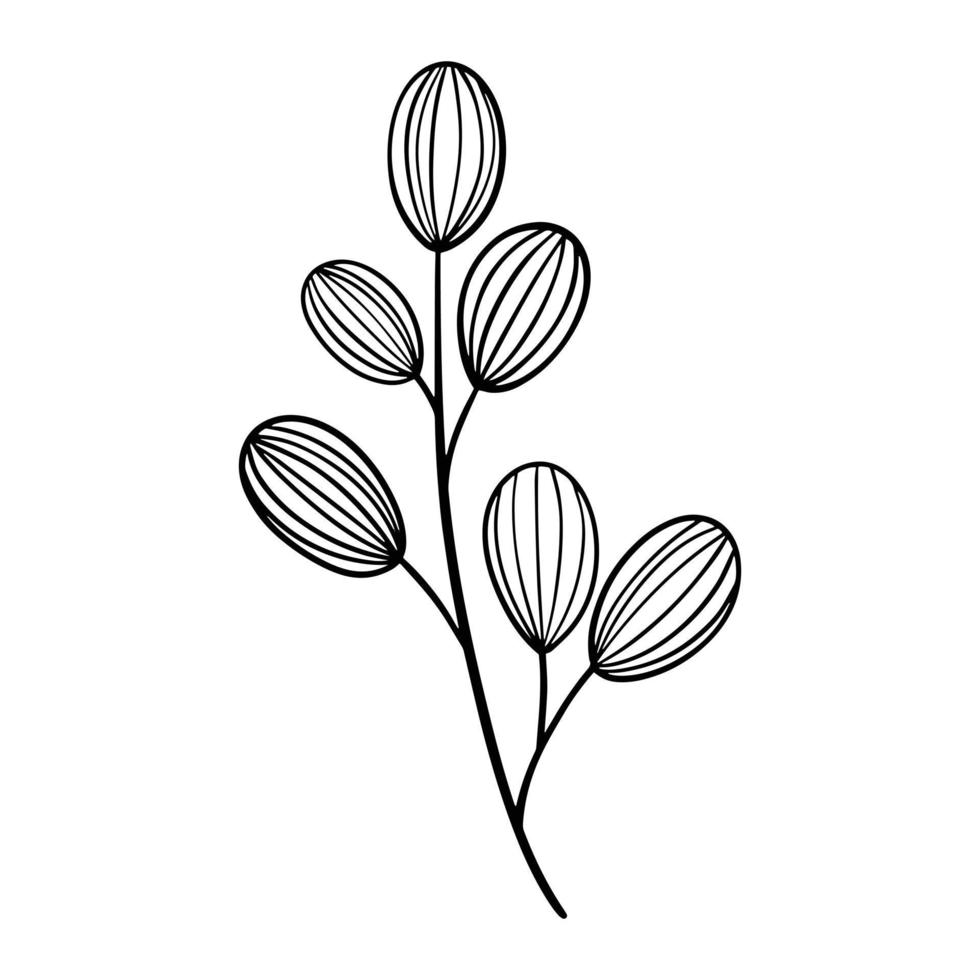 hand gezeichnetes blattgekritzel. handgezeichnete pflanze im gekritzelstil. Botanische Illustration. vektor