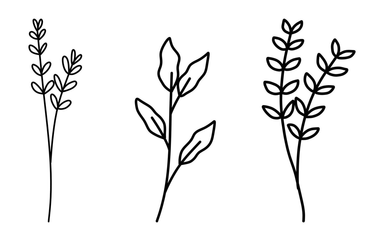 uppsättning av blommig handritad vektor. handritade växter i doodle stil. botanisk illustration. vektor