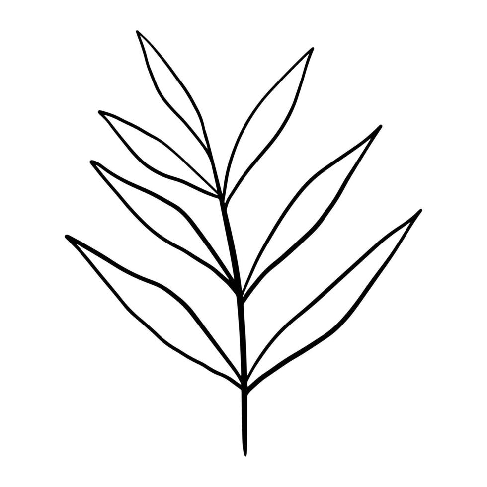 hand gezeichnetes blattgekritzel. handgezeichnete pflanze im gekritzelstil. Botanische Illustration. vektor