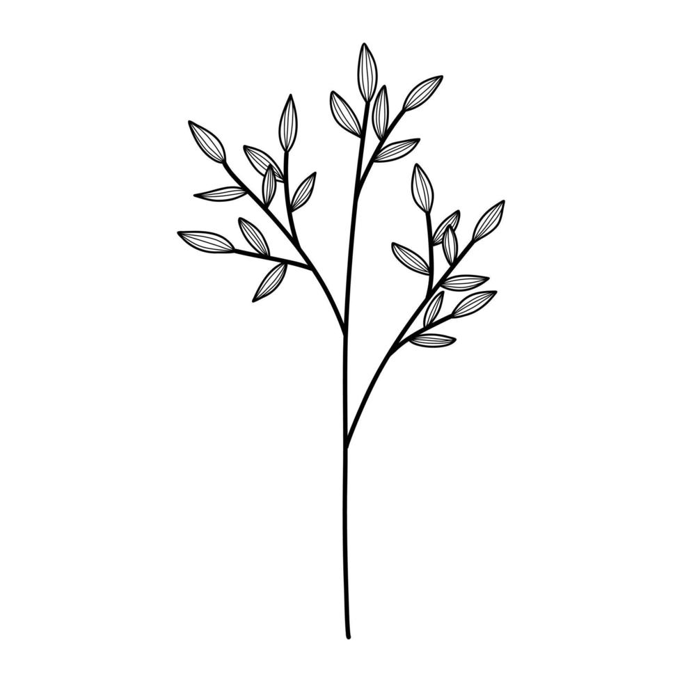 handritad blad doodle. handritad växt i doodle stil. botanisk illustration. vektor