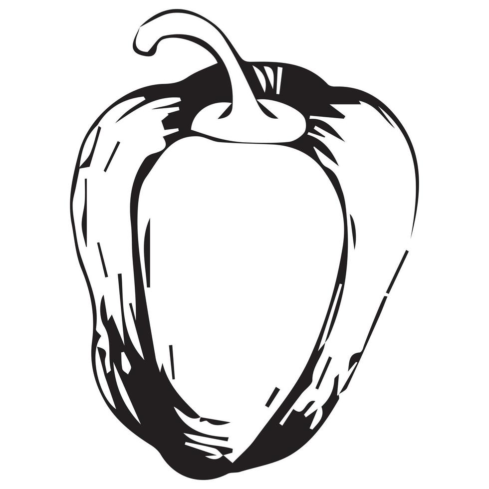 Paprika. monochrome isolierte Gemüsevektorillustration auf weißem Hintergrund. vektor