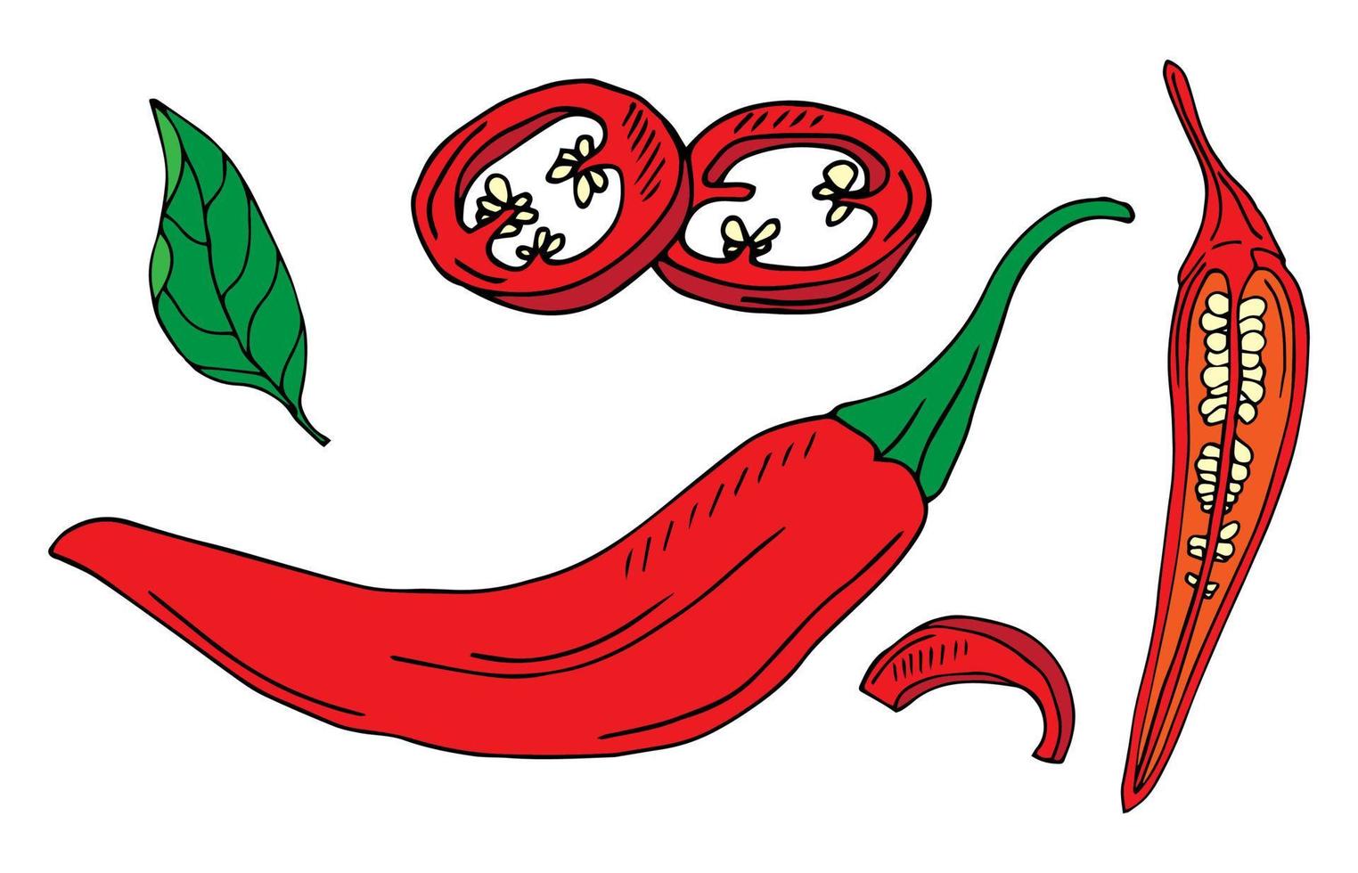 halbe und ganze Paprika-Chili. weinlesevektor, der schwarze illustration ausbrütet. isoliert auf weißem Hintergrund. handgezeichnetes Design vektor