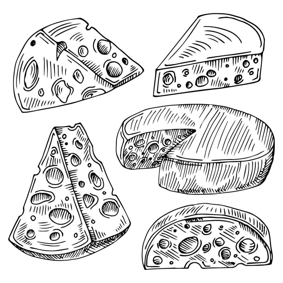 Käsevektorsatz lokalisiert auf weißem Hintergrund. hand gezeichnete käseeigenschaftsvektorillustration. Käseskizze. vektor