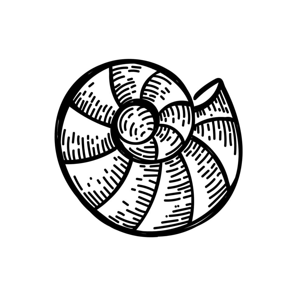 Shell-Symbol. ein handgezeichnetes Gekritzel im Skizzenstil. Dekorelement. weißer Hintergrund. isoliert. Meeresbewohner. Sommer. Ozean. flaches Design. Vektor einfache Illustration