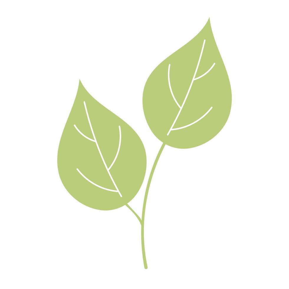 grüne Blätter im Cartoon-Stil, helles Kraut isoliert auf weißem Hintergrund. vektor