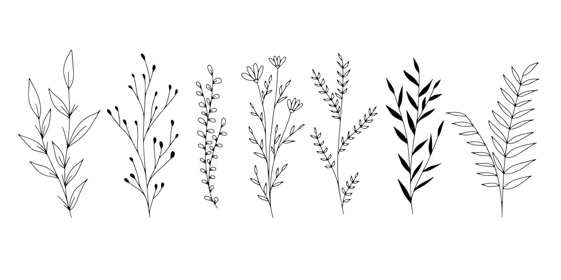 uppsättning av botaniska linjekonst blommiga löv, växter. handritad skiss grenar isolerad på vit bakgrund. vektor illustration
