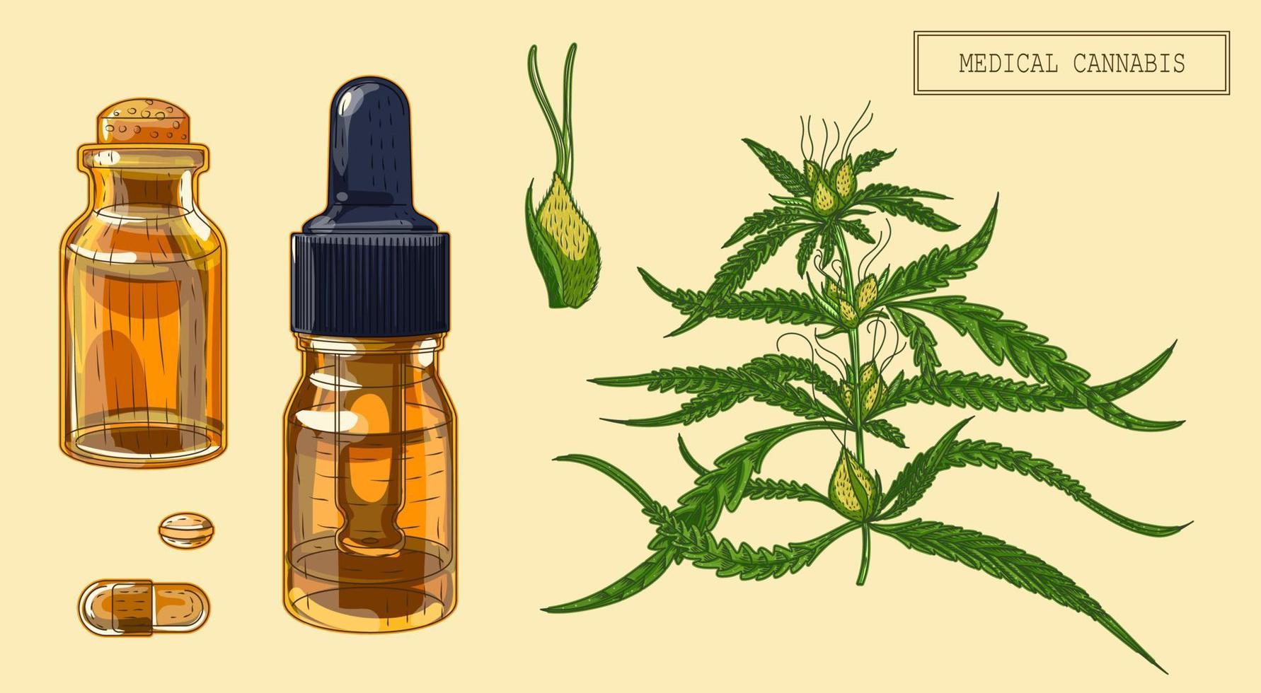 medicinsk cannabis marijuana gren och flaskor, handritad illustration i retrostil vektor