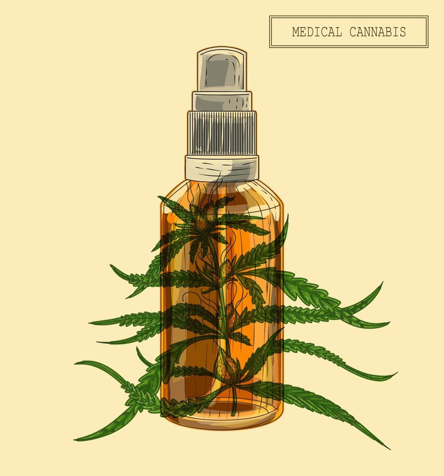 Medizinischer Cannabis-Marihuana-Zweig und Flasche, handgezeichnete Illustration im Retro-Stil vektor