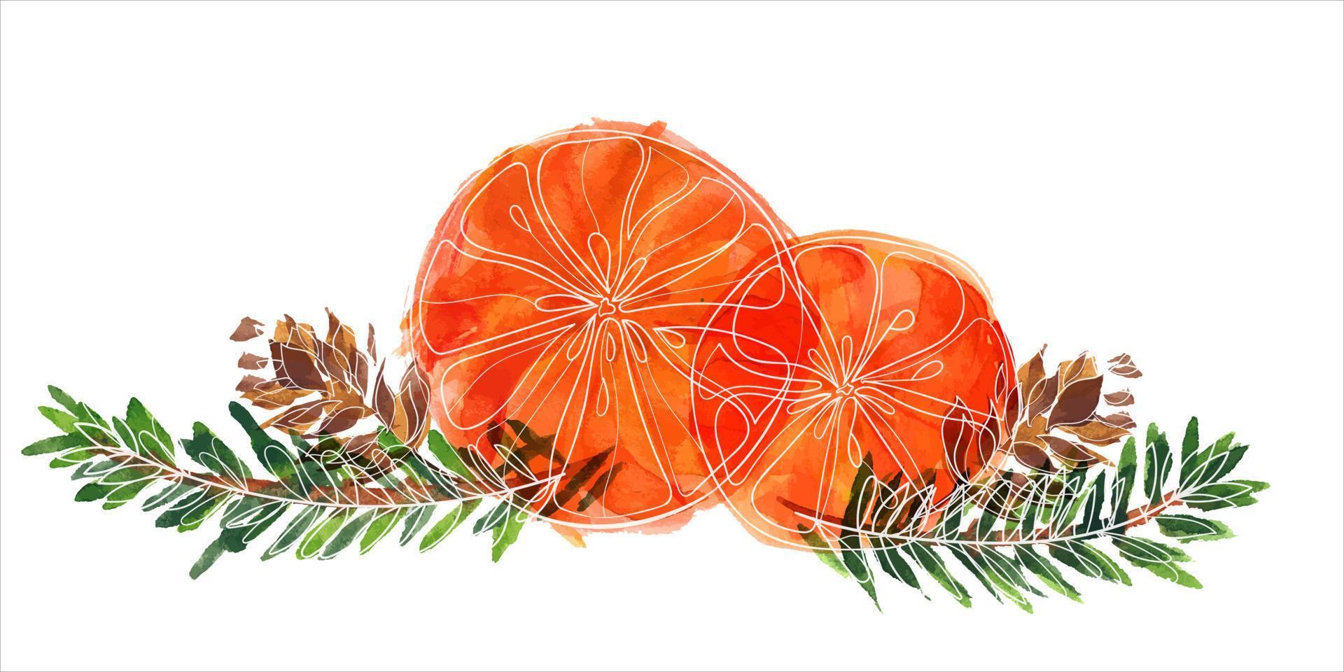 julbukett med apelsiner och kottar och grangrenar. dekorvinjett för söta jul- och nyårshälsningar och inbjudningar vektor