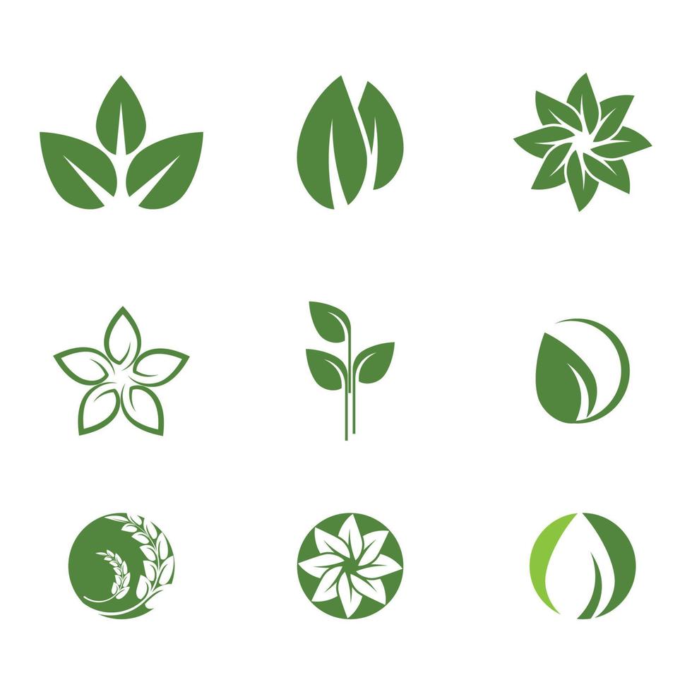 Logos des Naturelementvektors der grünen Baumblattökologie vektor