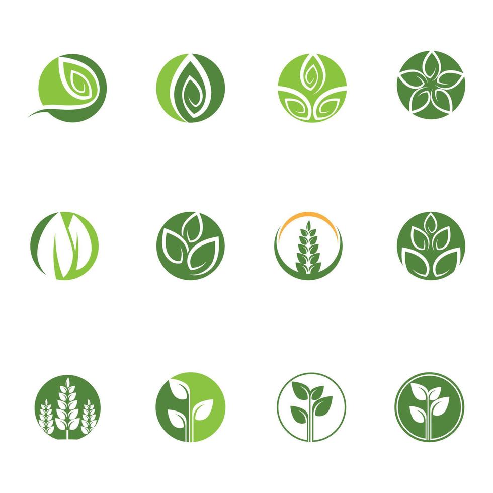 Logos des Naturelementvektors der grünen Baumblattökologie vektor