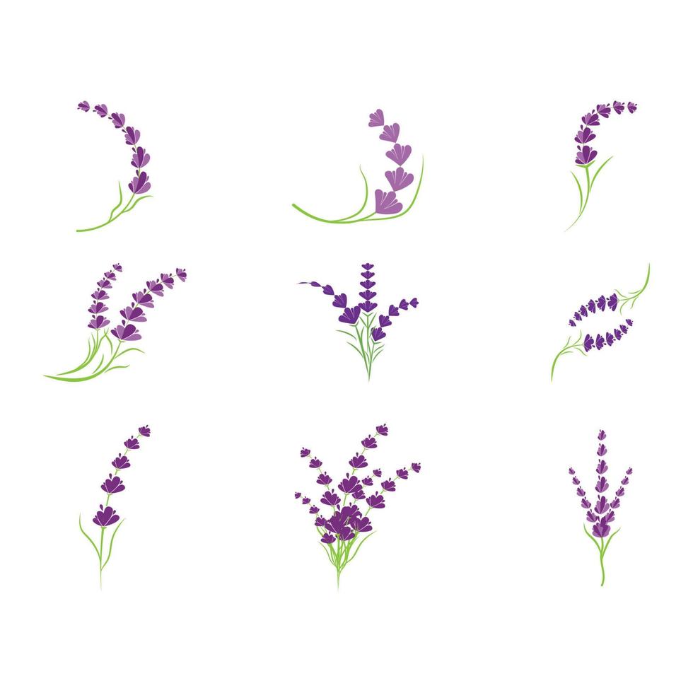 Lavendel Logo Vorlage Vektor Symbol Natur