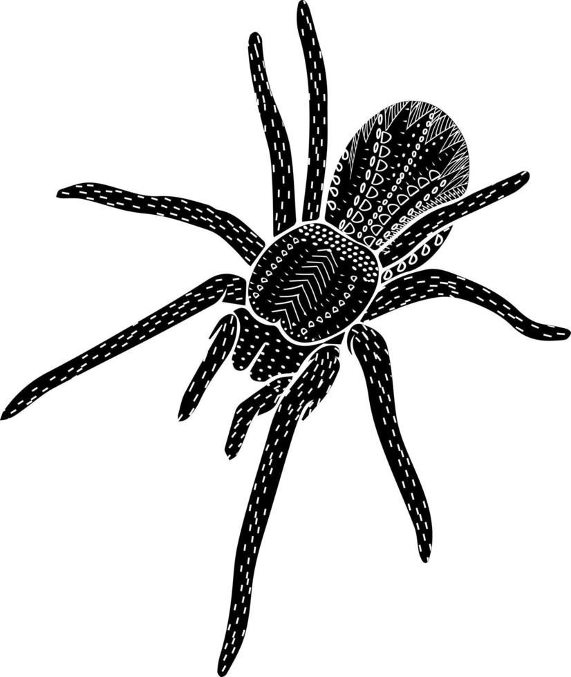 spindelfolk med prydnad mystisk insekt för halloween isolerade vektor handritad
