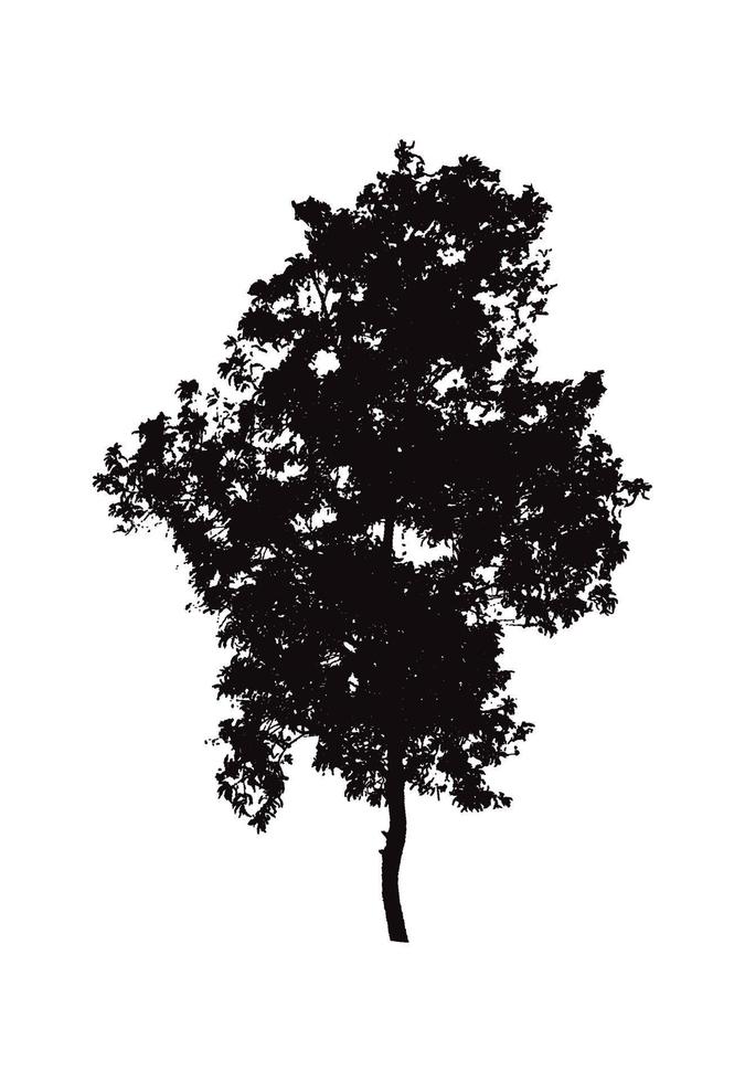 Vektorsilhouette eines jungen Baumes. Silhouette-Baum-Clipart. vektor