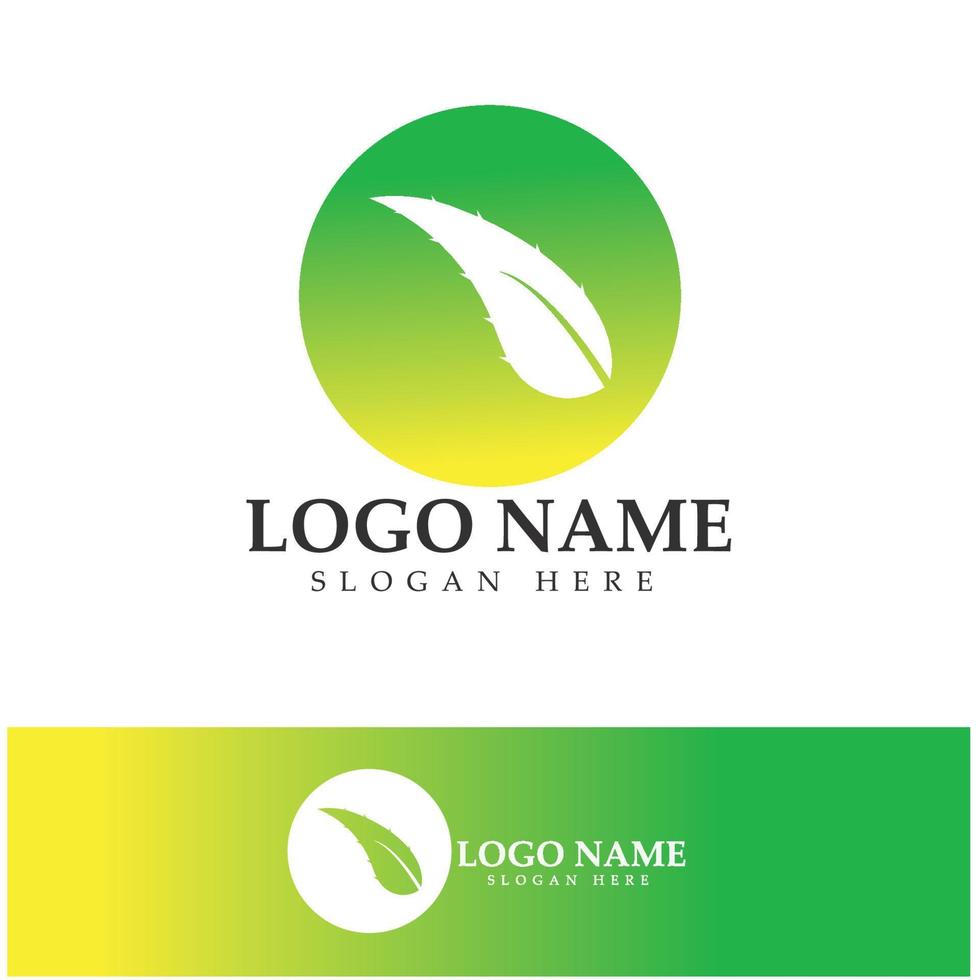 aloe vera logotyp ikon illustration vektor