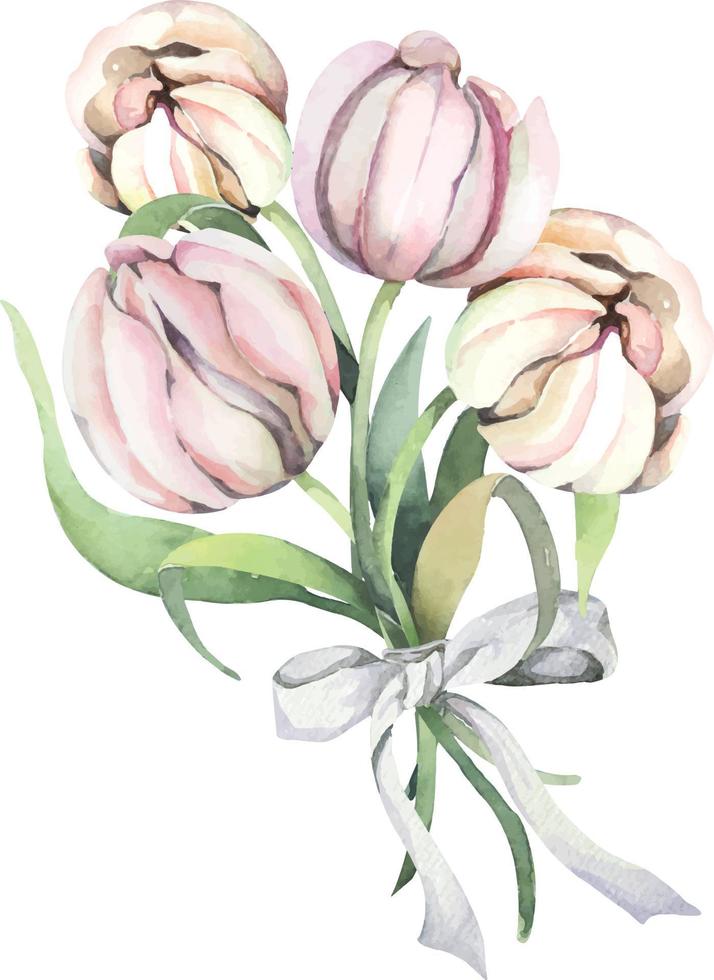 Tulpenaquarell 2 vektor