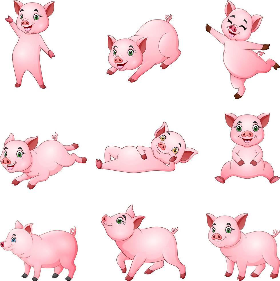 tecknade små grisar samling med olika poserar vektor