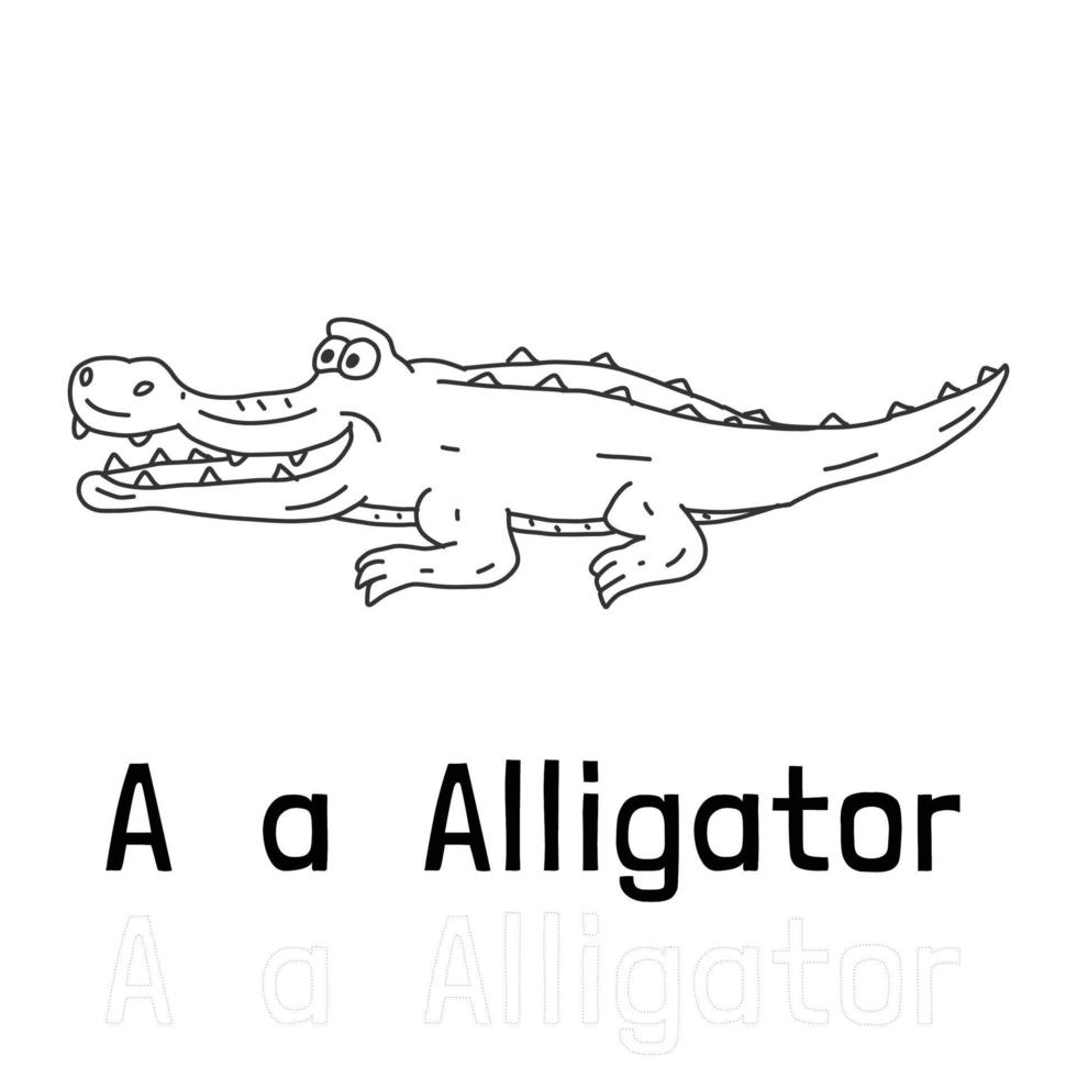 alphabet buchstabe a für alligator-farbseite, farbtierillustration vektor