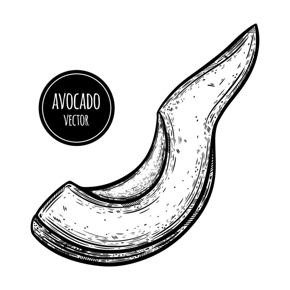 Avocado-Scheiben-Vektor-Symbol. hand gezeichnete skizze von reifen tropischen früchten. Stück geschälte frische Avocado. leckeres gesundes essen, gartengemüseumriss. monochrome Darstellung isoliert auf weiß vektor