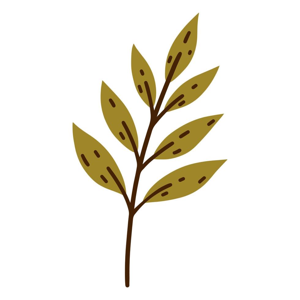 ljusa höstlöv på en gren vektor ikon. handritad skiss av en fältväxt. enkel grön kvist, platt tecknad doodle. säsongsbetonad clipart isolerad på vitt. hösten botaniska illustration