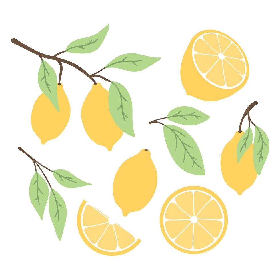 uppsättning citroner i platt stil. samling av citroner på en gren, en skiva av en citron, en halv av en lemon.vector illustration. vektor