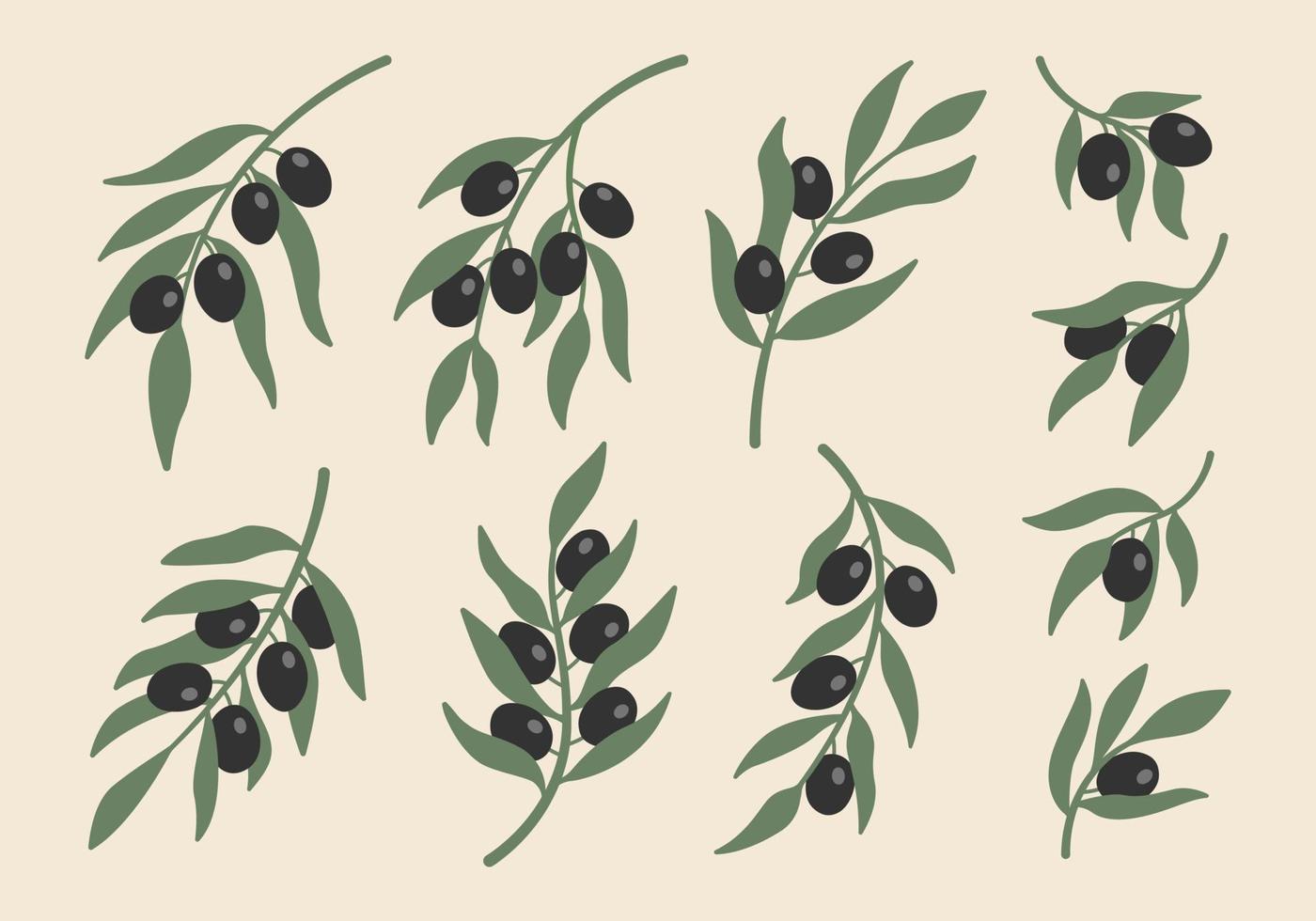 samling av abstrakta boho minimalistiska svarta olivkvistar. botaniska växter i pastellfärger. vektor