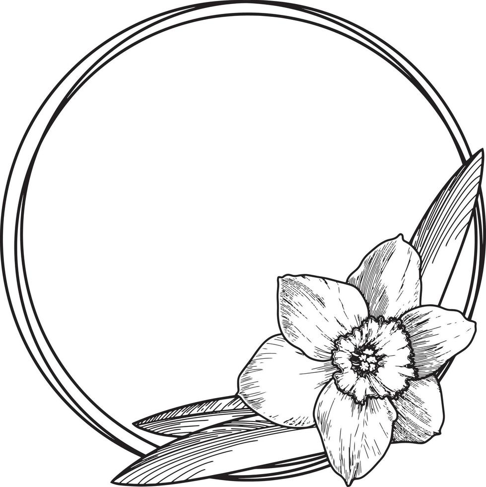 Vektorillustration auf einem transparenten Hintergrund. stilisierte Narzissenblüte mit Blättern. Runde Karte mit einem leeren Platz zum Einfügen vektor