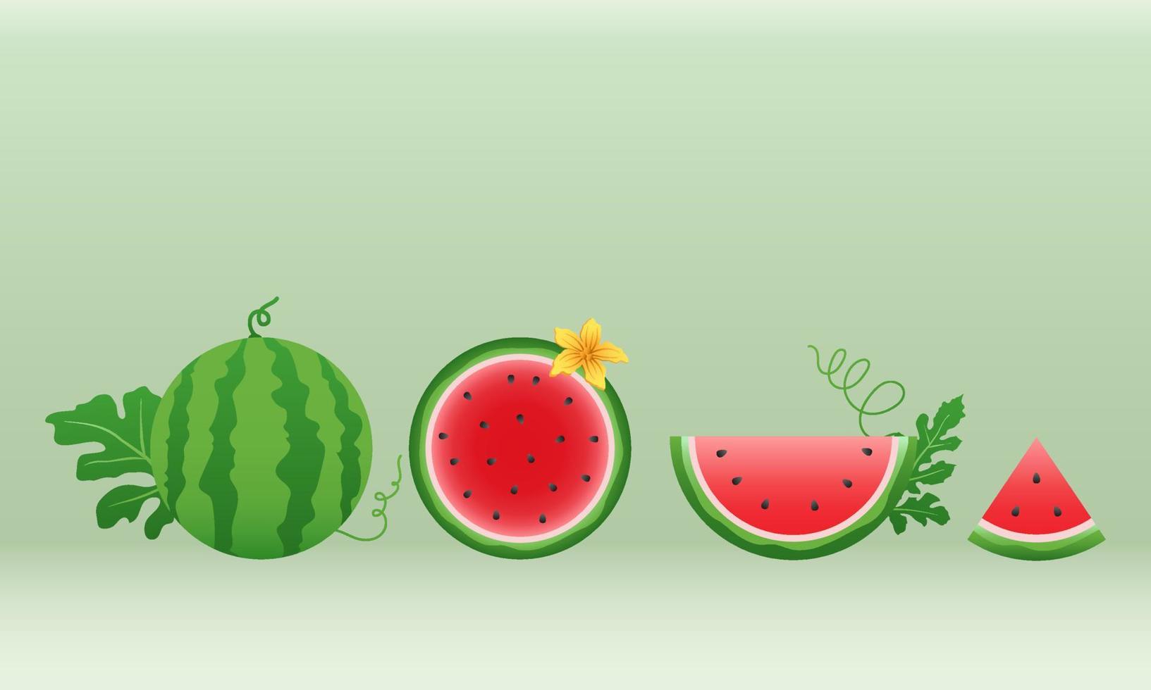 wassermelone und saftige scheiben vektorset, flaches design von grünen blättern und wassermelonenblumenillustration, frisches und saftiges fruchtkonzept der sommernahrung. vektor
