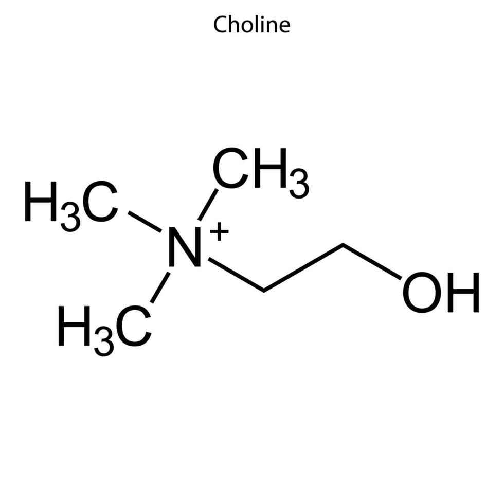 skelettformel för kemisk molekyl. vektor