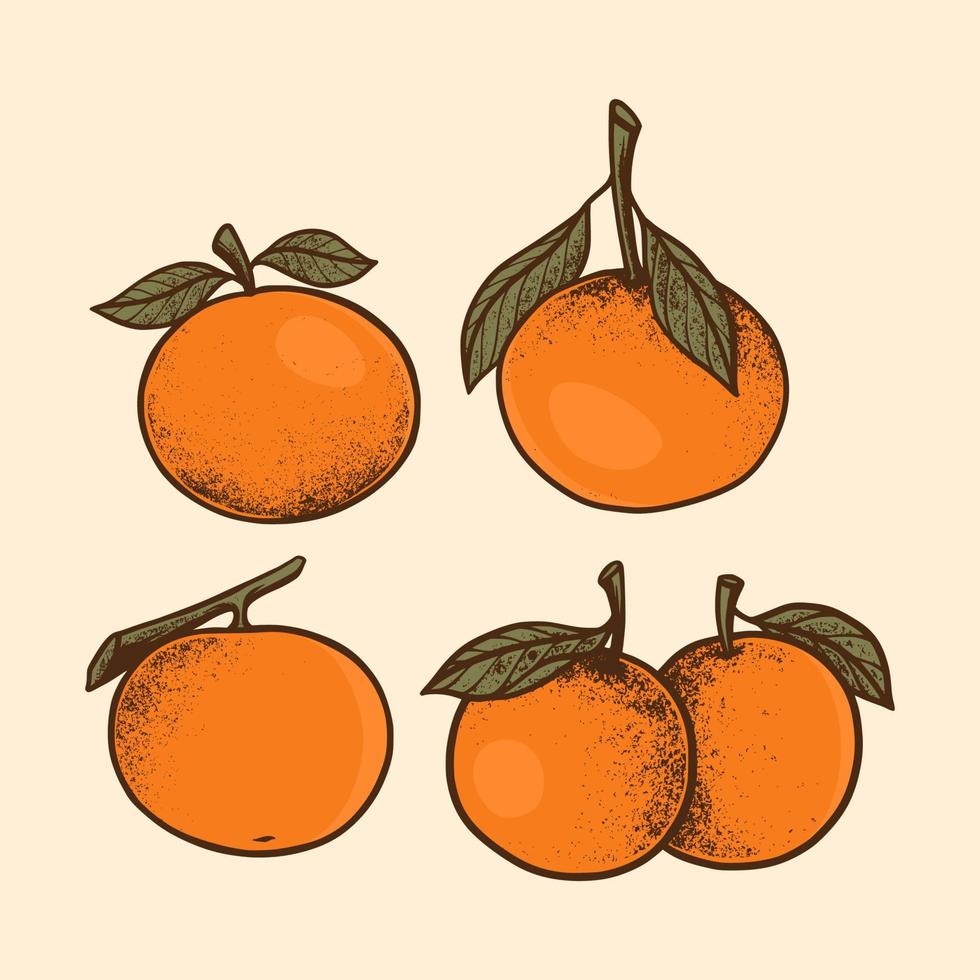 handritad orange frukt textur grov logotypdesign vektor