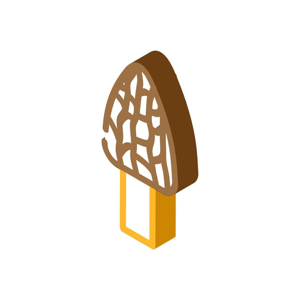 Morel Pilz isometrische Symbolvektorillustration vektor