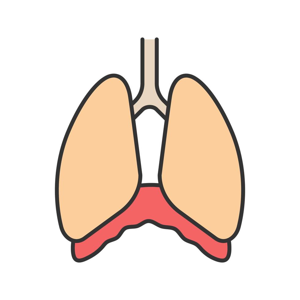 Farbsymbol der Brusthöhle. Membran. menschliche Lunge. isolierte Vektorillustration vektor