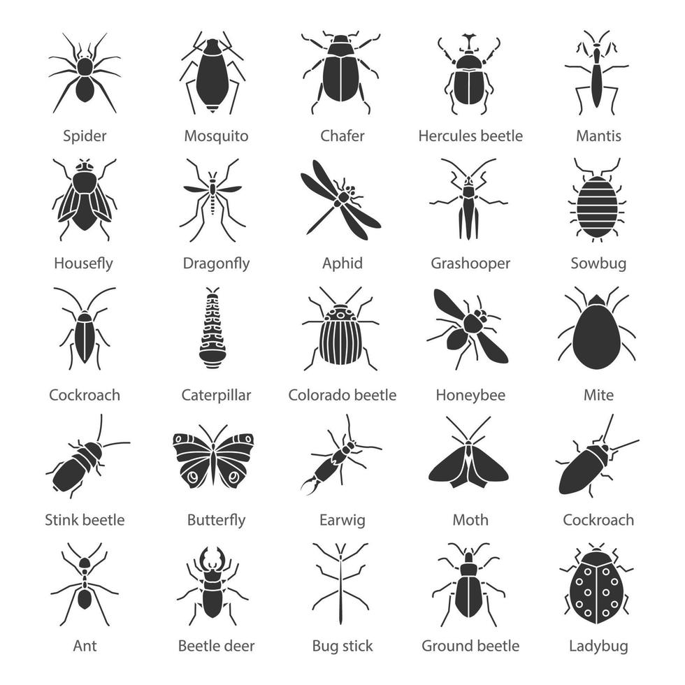 Insekten-Glyphen-Symbole gesetzt. Fehler. Silhouettensymbole. Entomologische Sammlung. Schmetterling, Ohrwurm, Hirschkäfer, Phasmid, Motte, Ameise, Gottesanbeterin, Spinne. vektor isolierte illustration