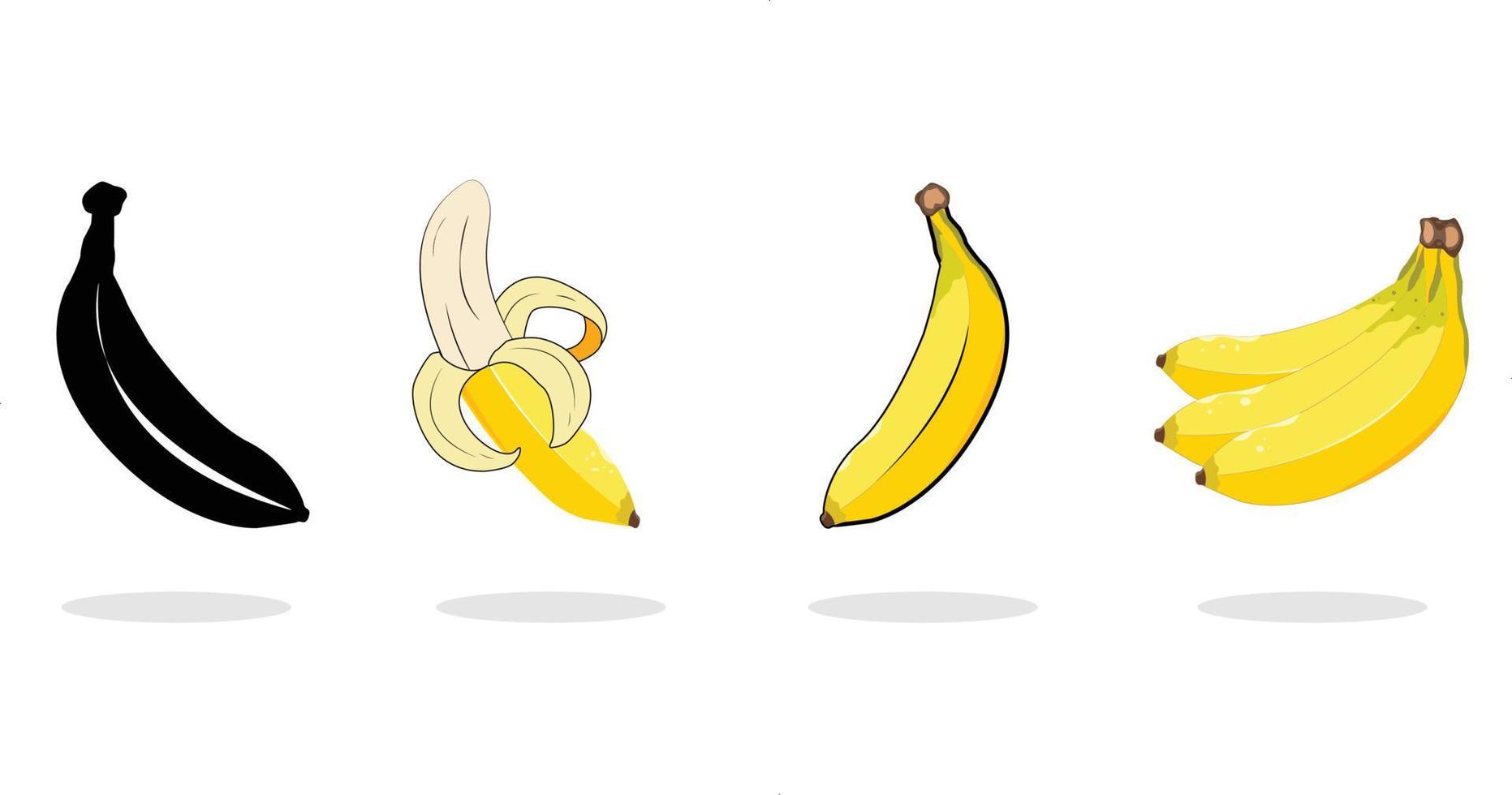 banan frukt samling - vektor illustration