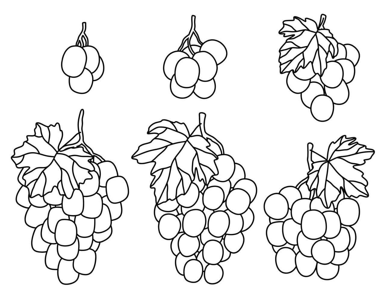 handritad uppsättning druvor på en vit bakgrund. vektor illustration