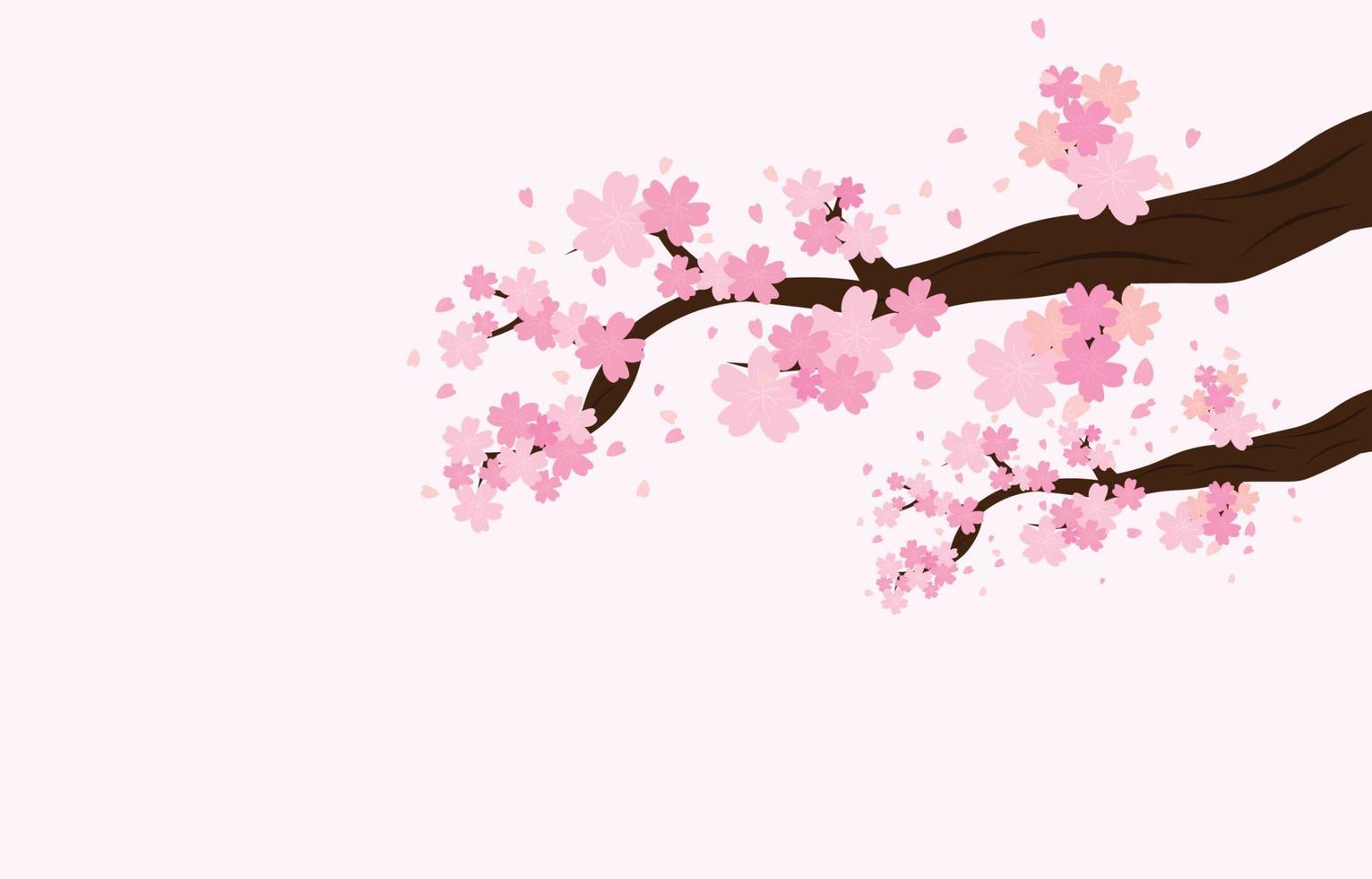 Äste der Baumrosa-Kirschblüte verziert mit hellem Hintergrund, lokalisiert mit Hintergrund, Frühlingsblumen-Illustrationsvektor vektor