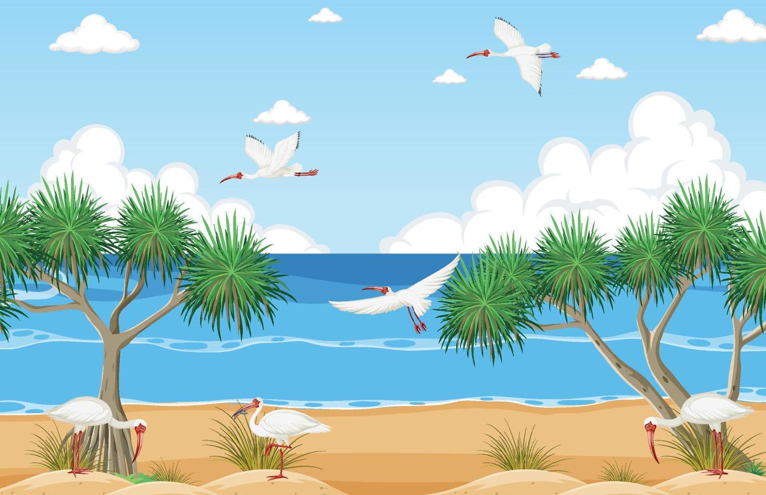 vit ibis grupp på stranden vektor