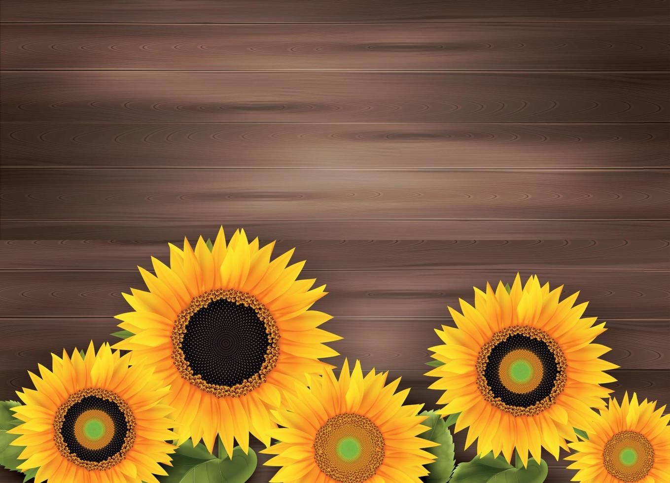 realistischer hintergrund der sonnenblume vektor