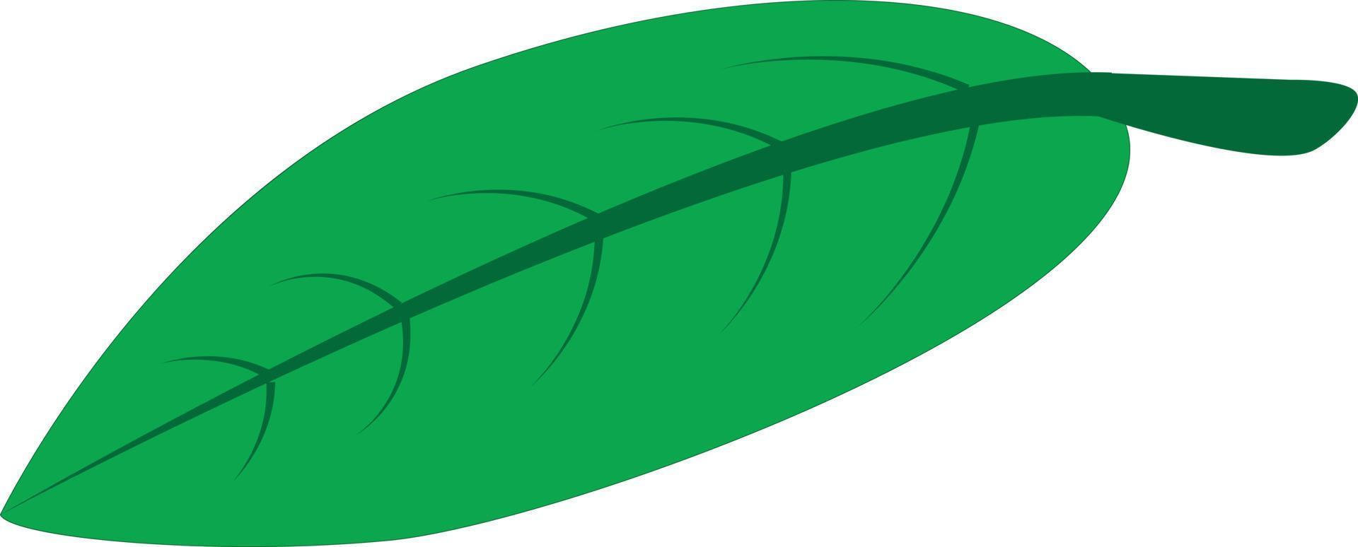 grünes Blatt auf weißem Hintergrund. grünes Blatt-Symbol. Blatt Zeichen. flacher Stil. vektor