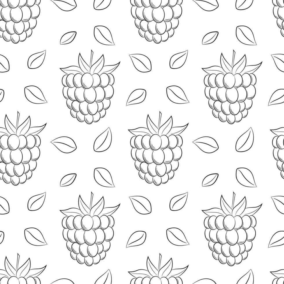 monokrom svart vit frukt seamless mönster. handritade hallon, björnbär. enkel konturbakgrund för webbdesign, produktförpackningar, servetter, bakgrunder. vektor illustration på vitt