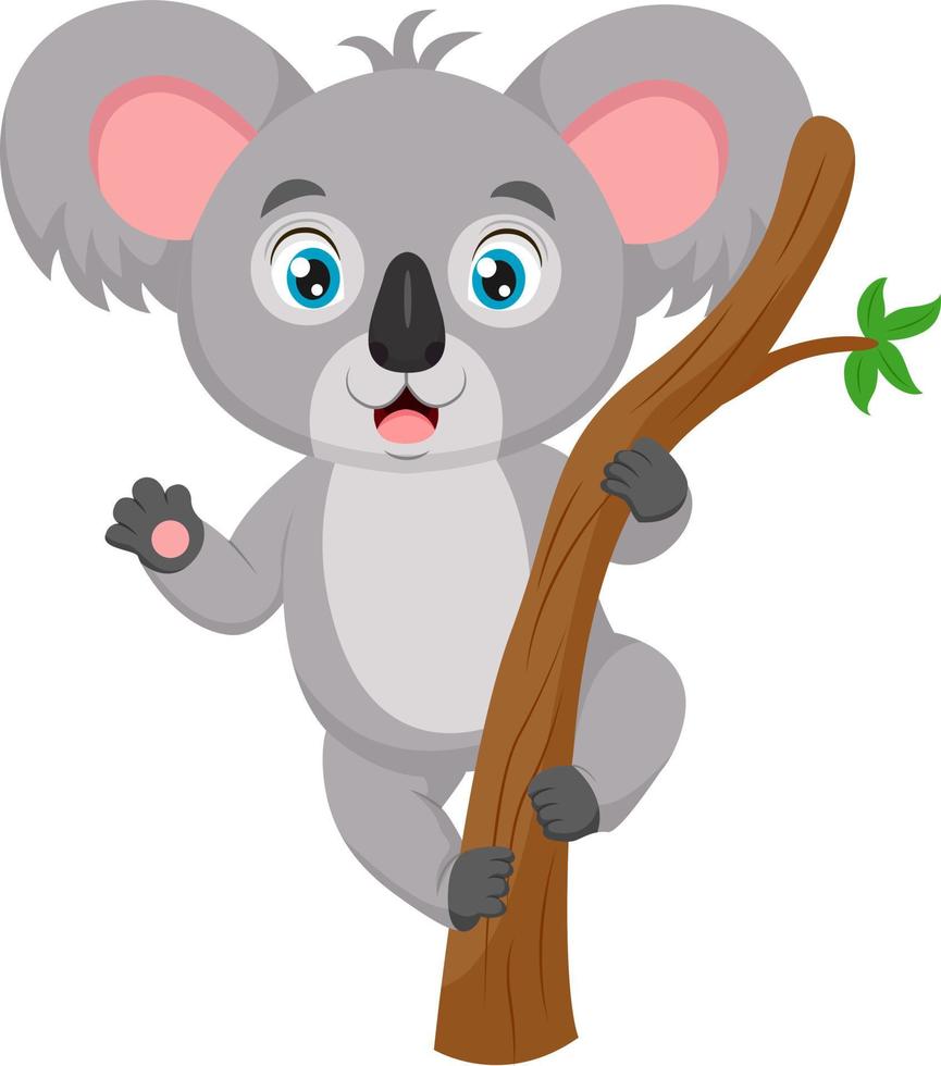 söt baby koala tecknad på trädgren vektor