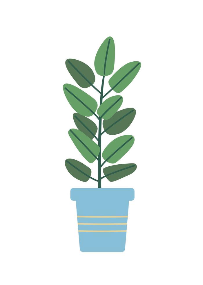 Ficus in einem Blumentopf. Vektor-Illustration Blume mit Blättern für die Raumdekoration. vektor