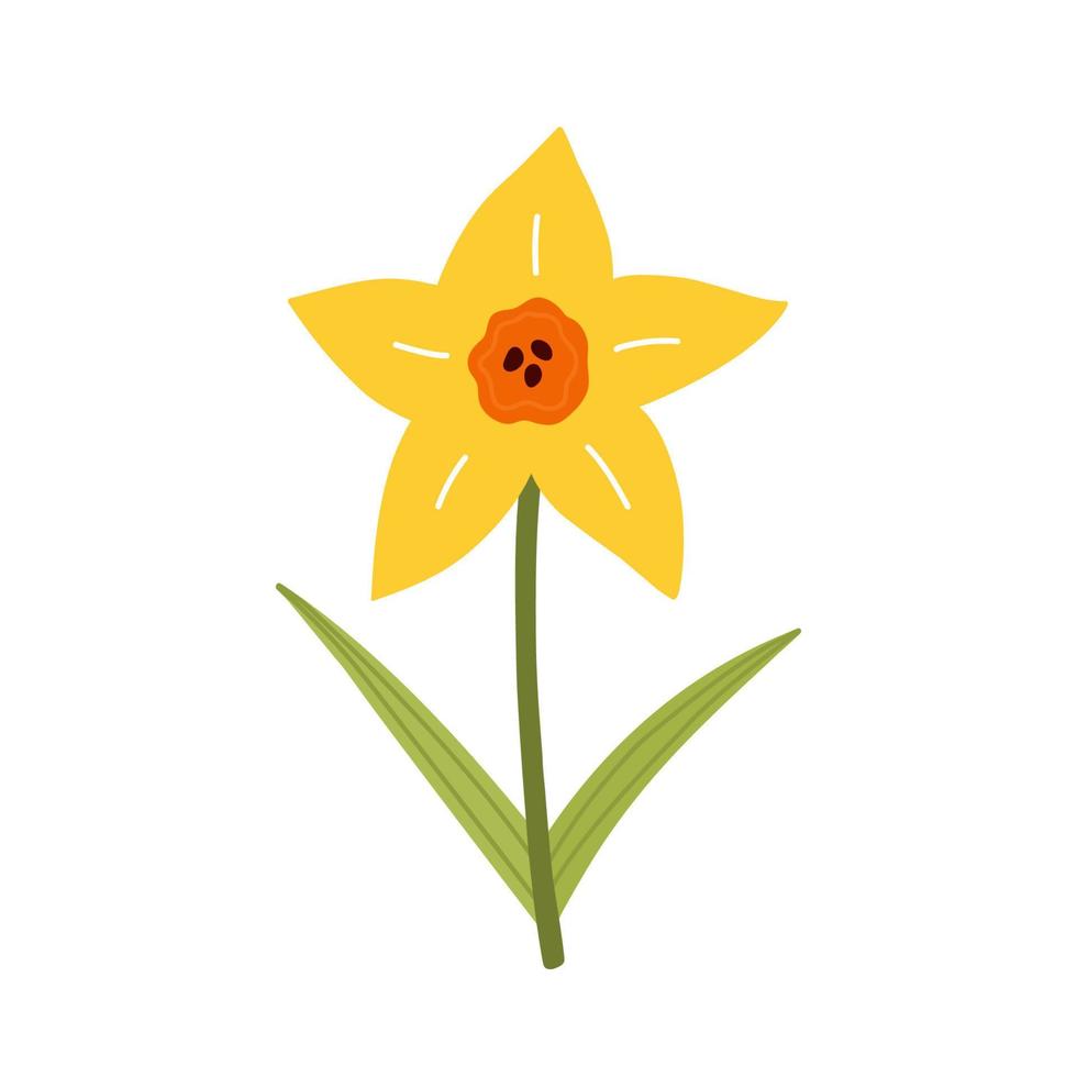 söt gul påsklilja blomma med blad isolerad på vit bakgrund. vektor illustration i handritad platt stil. perfekt för kort, logotyp, dekorationer, vår- och sommardesigner. botaniska clipart.