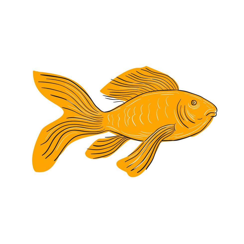 gold schmetterling koi schwimmen zeichnung vektor