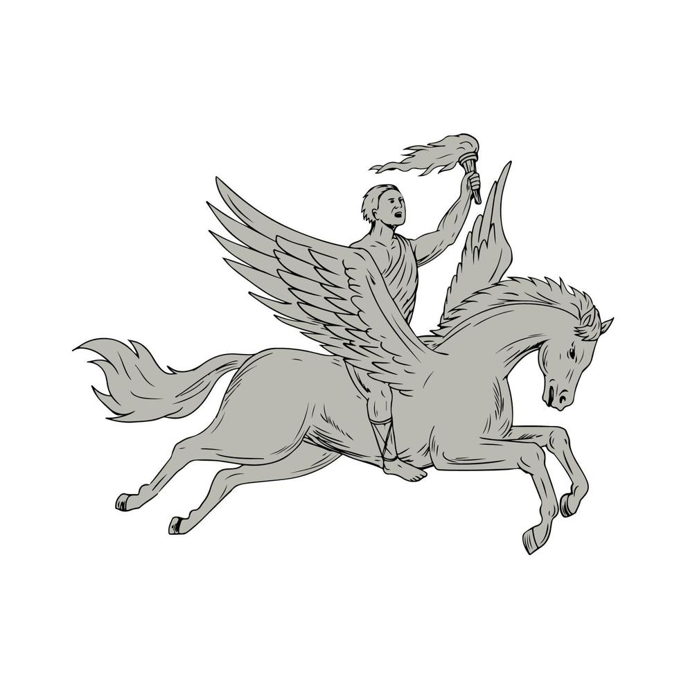 Bellerophon reitet auf Pegasus und hält eine Fackelzeichnung vektor