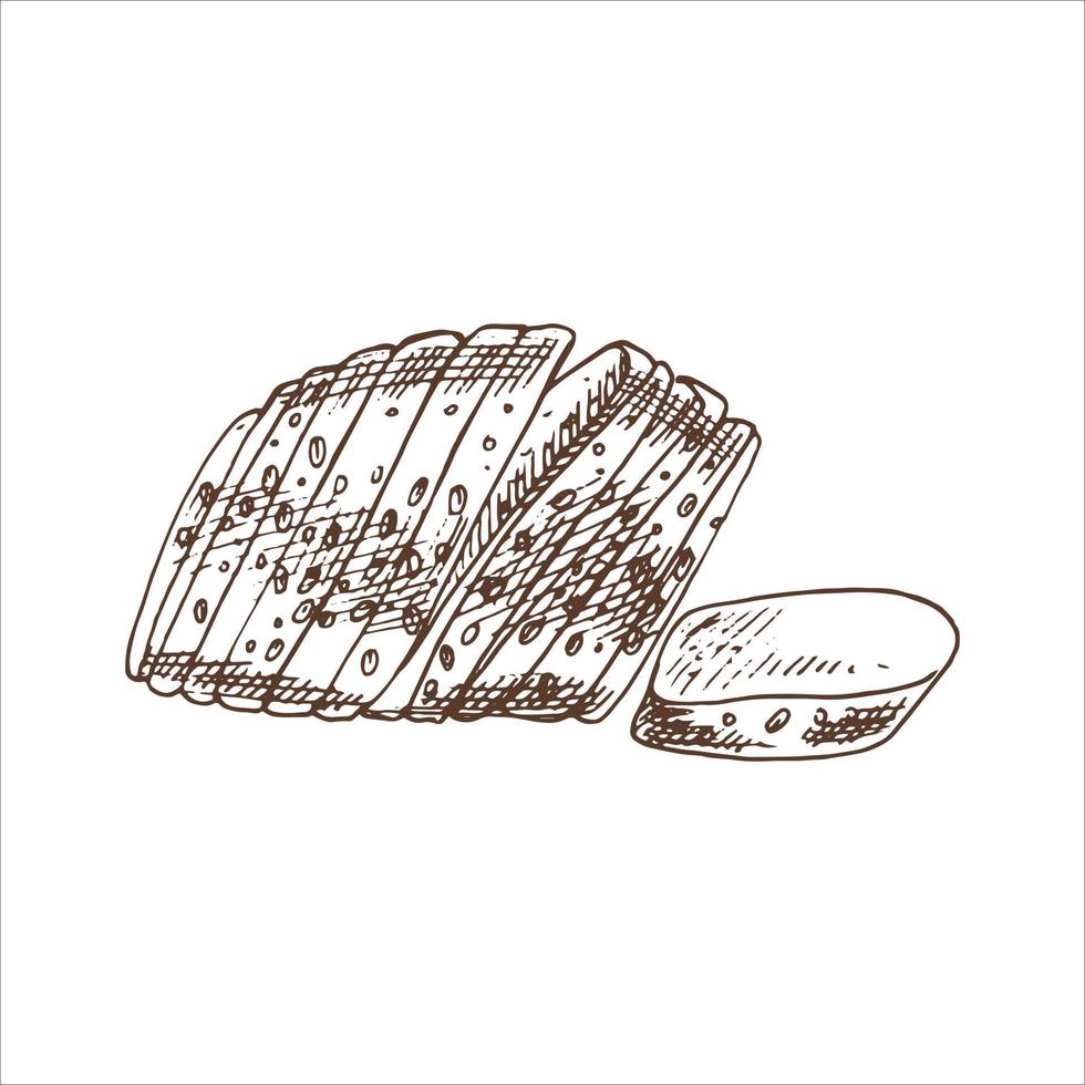 Vektor handgezeichnete Illustration von Laib geschnittenem Brot. Braun- und Weißbrotzeichnung isoliert auf weißem Hintergrund. Skizzensymbol und Backelement für Print, Web, Handy und Infografiken.