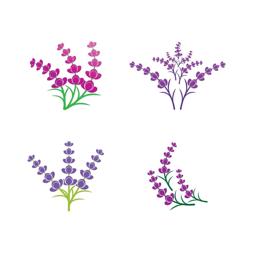 färsk lavendel blomma logotyp vektor